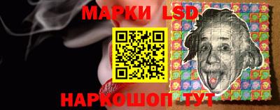 индика Донецк