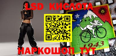 стаф Дубна