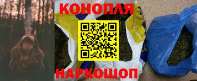 стаф Дубна