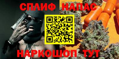 стаф Дубна