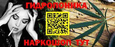 индика Донецк