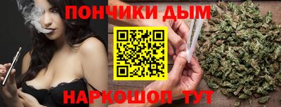 стаф Дубна
