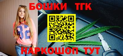 стаф Дубна