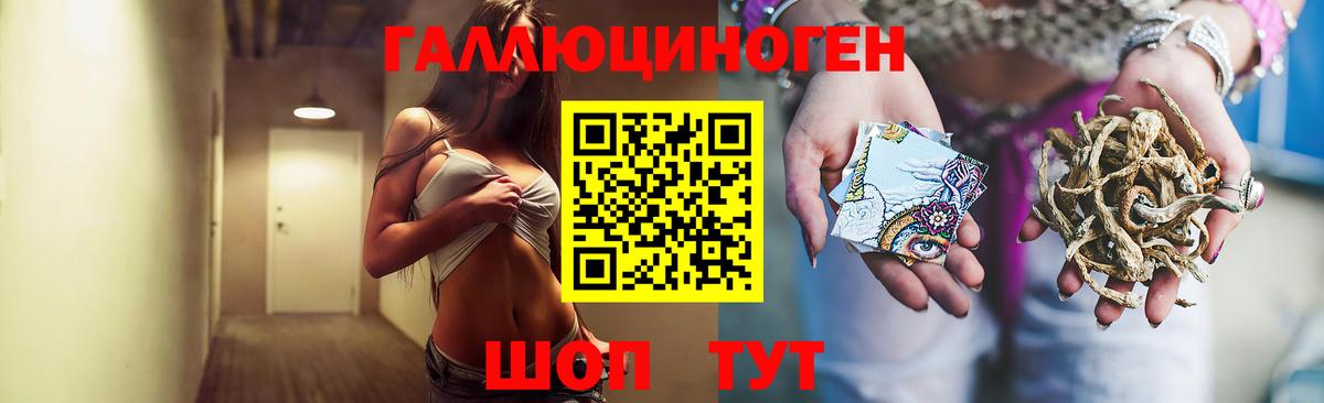 Галлюциногенные грибы MAGIC MUSHROOMS  Галлюциногенные грибы Psilocybe  магазин    Вход с VPN  Солнечногорск 